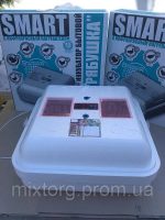 Автоматичний акваріум для яєць Жита Smart Plus.